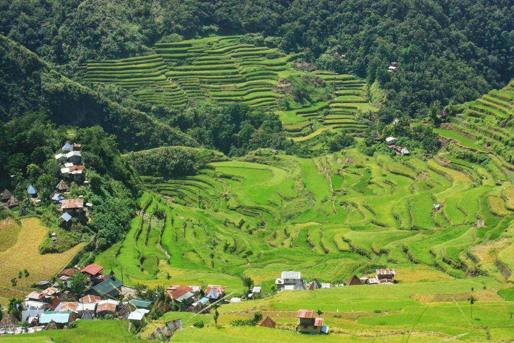 Batad Transient House Hotel Banaue Kültér fotó