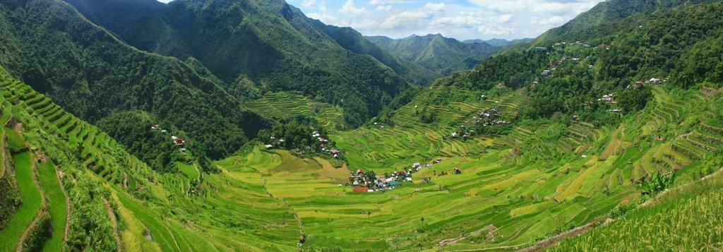 Batad Transient House Hotel Banaue Kültér fotó