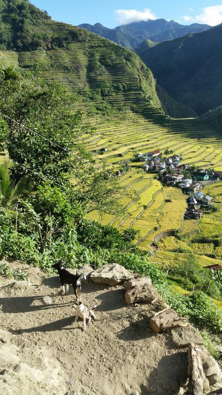 Batad Transient House Hotel Banaue Kültér fotó