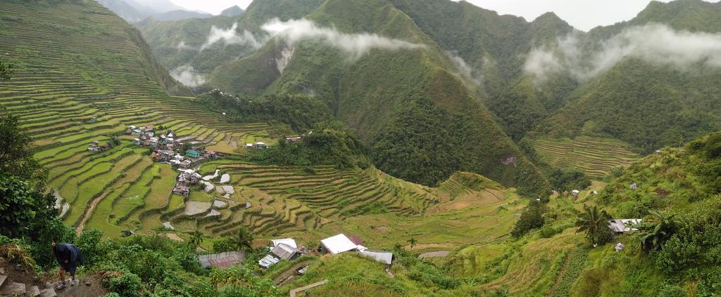 Batad Transient House Hotel Banaue Kültér fotó