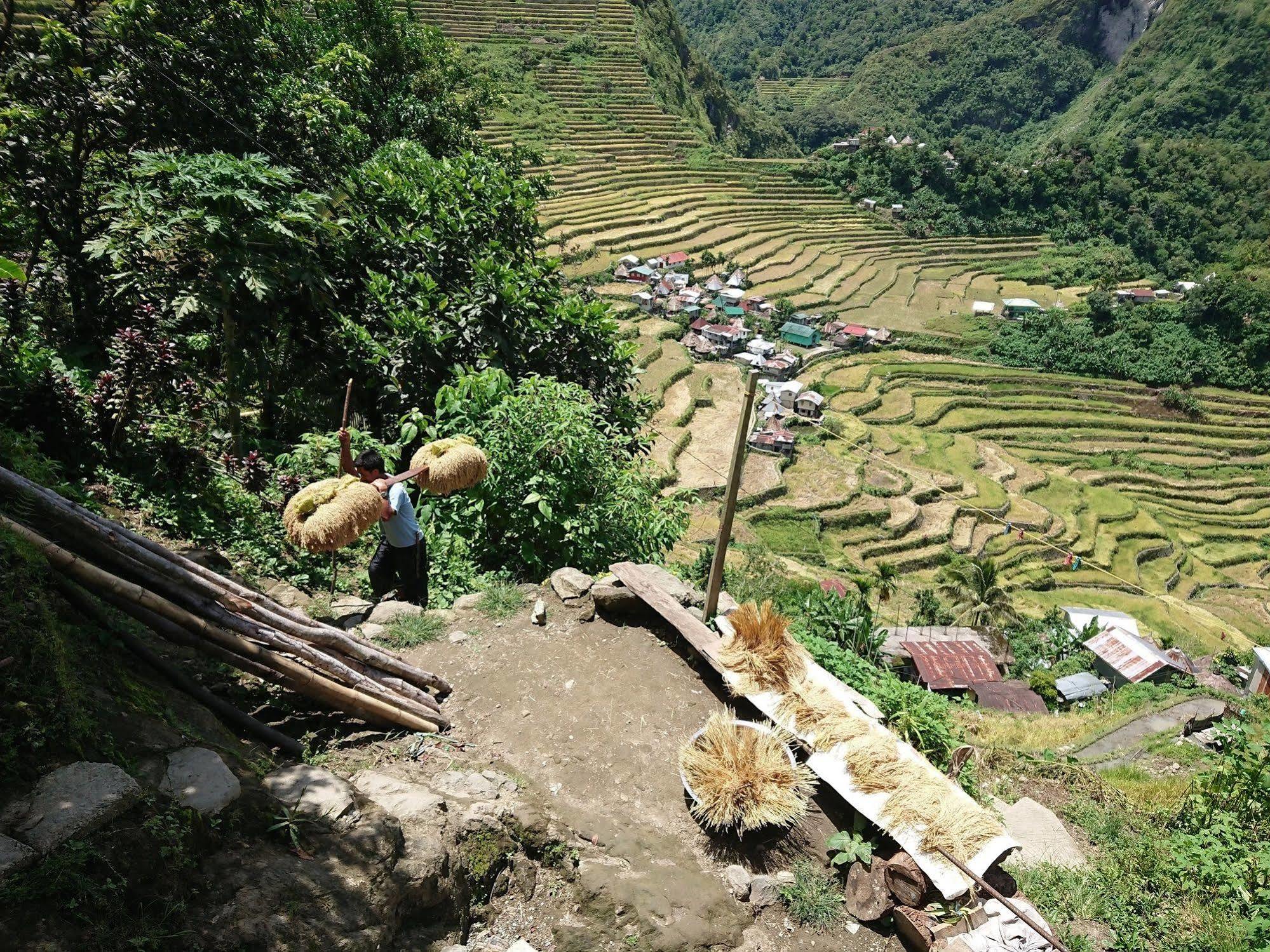 Batad Transient House Hotel Banaue Kültér fotó