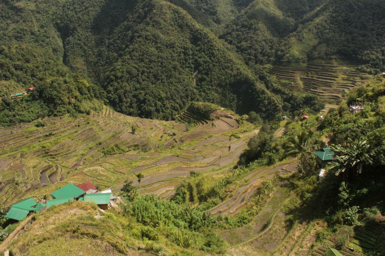 Batad Transient House Hotel Banaue Kültér fotó